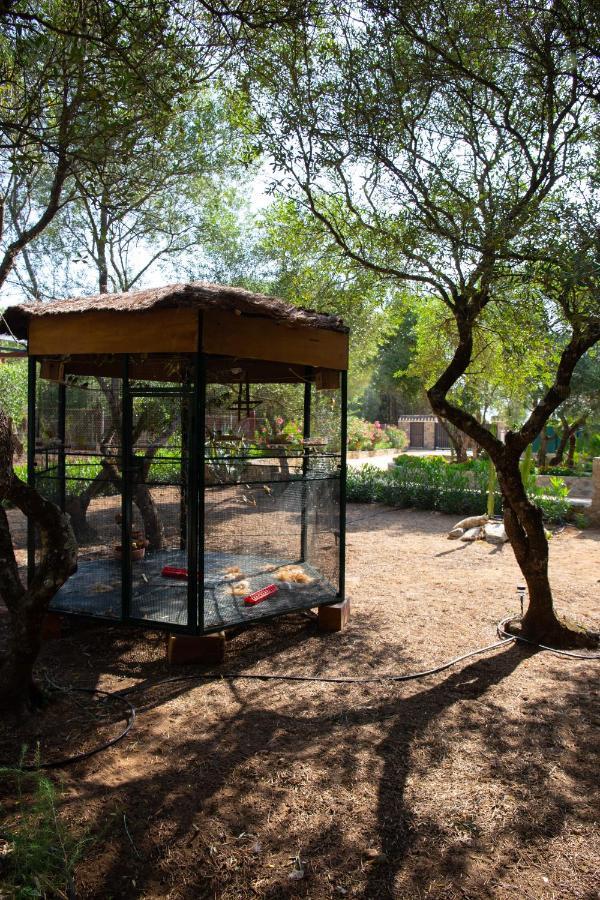 فيلا Casa Caramelo ميدينا سيدونيا المظهر الخارجي الصورة